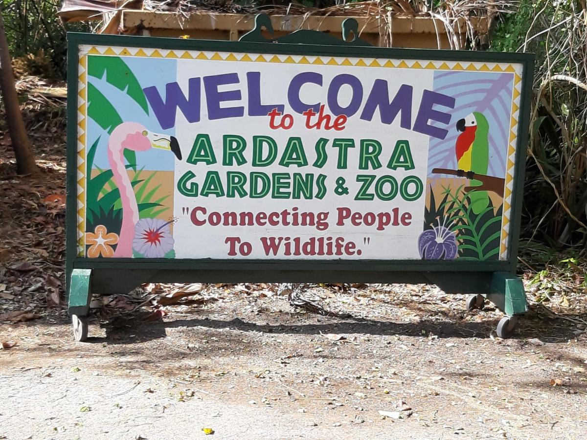 拿骚Tropical Hideaway公寓 外观 照片